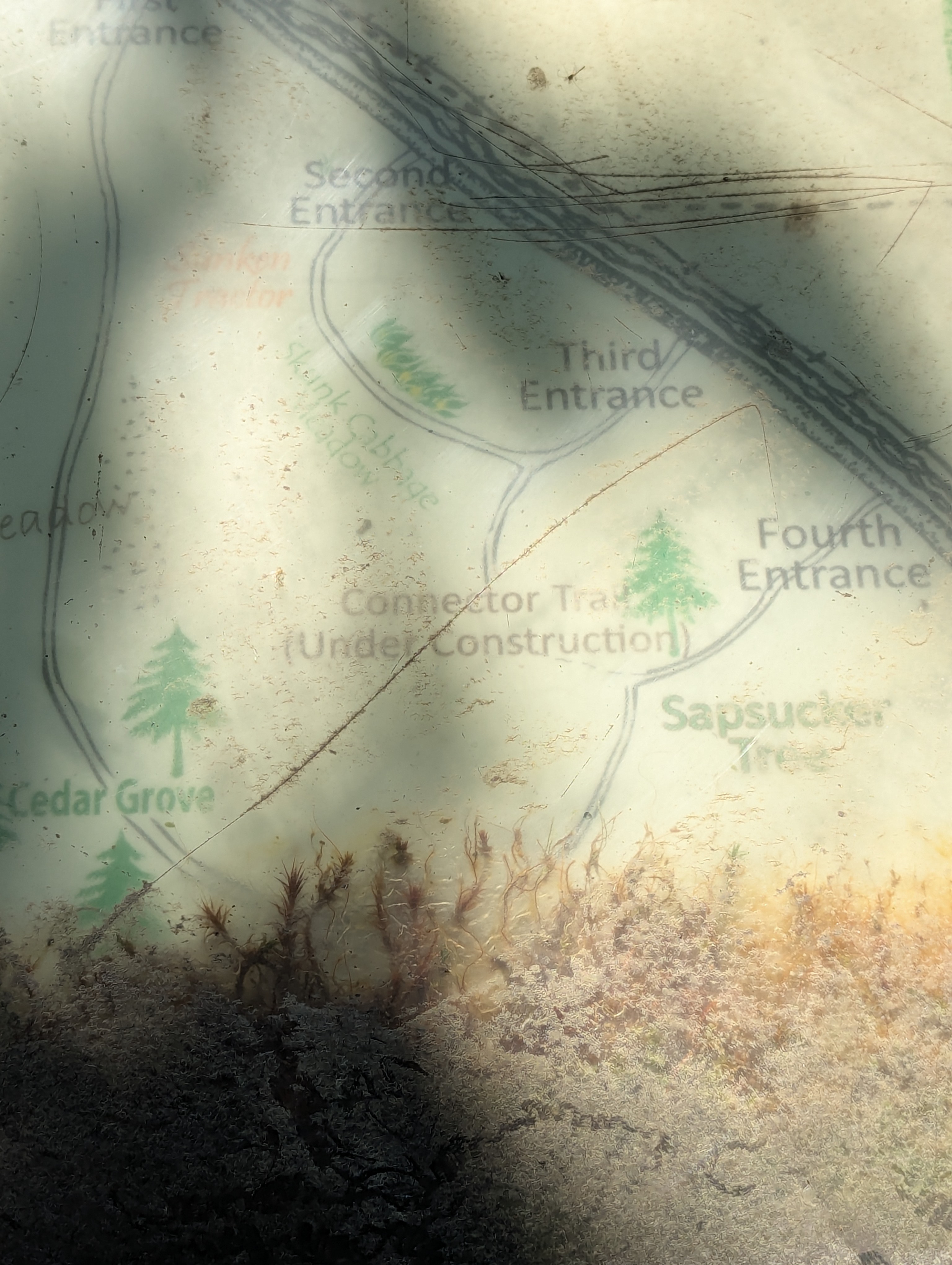 Birthday Trip to Canada, Delta, Burns Bog, Vancouver, British Columbia